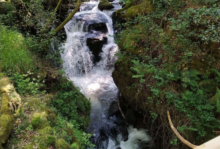 Pozo do Inferno e ponte peonil sobre o río Ribadil